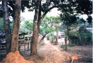 Karens-landsbyen Khotha - langt ude i junglen